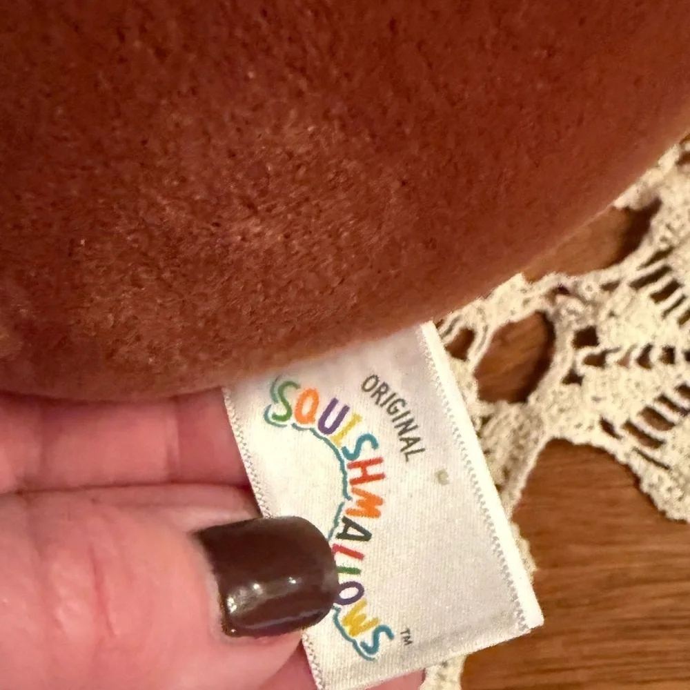 Ximena Squishmallow Chocolate Covered Colorful Plush Stuffy Pillow NEW mango